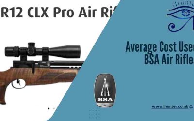 The Cost Of Used BSA Air rifles