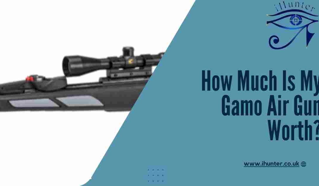 The Cost Of Used Gamo Air Rifles