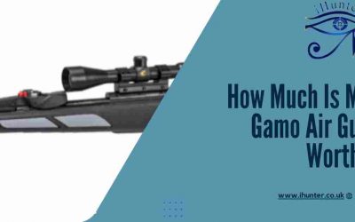 The Cost Of Used Gamo Air Rifles