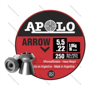 Apolo Arrow Hollow Point .22 pellet