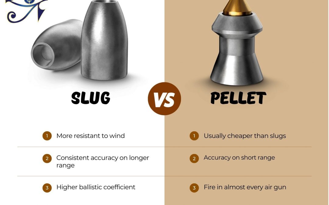 Airgun Pellets vs Slugs