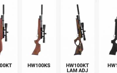 The Cost Of Used Weihrauch Air rifles.