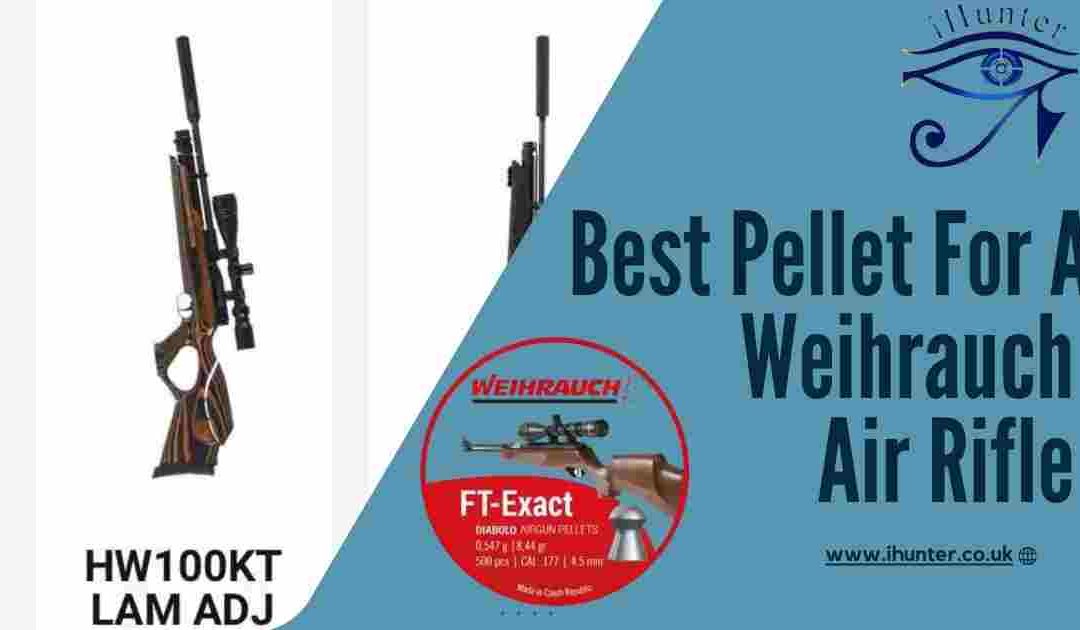Best Pellets For Weihrauch Air Rifles