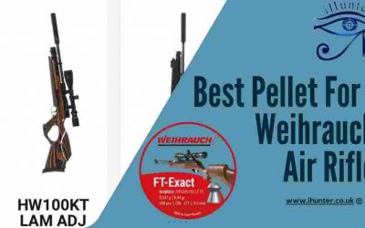 Best Pellets For Weihrauch Air Rifles