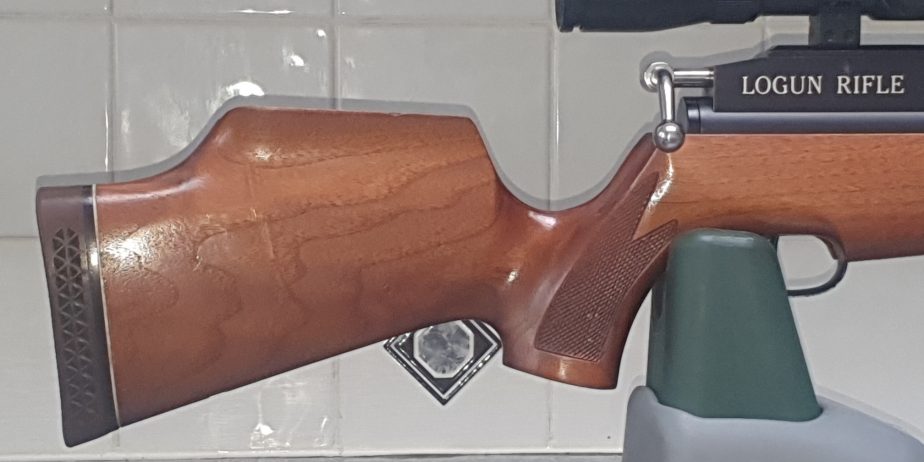 LOGUN-RIFLE-.22-FAC-6