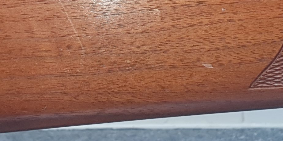 LOGUN-RIFLE-.22-FAC-9