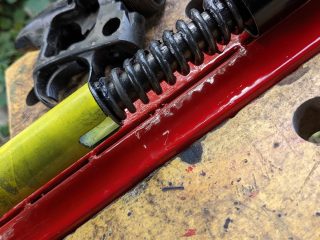 PXL_20231007_131929550-1