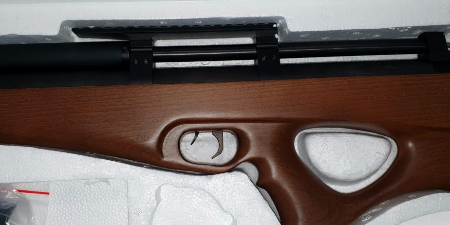 SMK P10 in .177 Cal NEW IN BOX