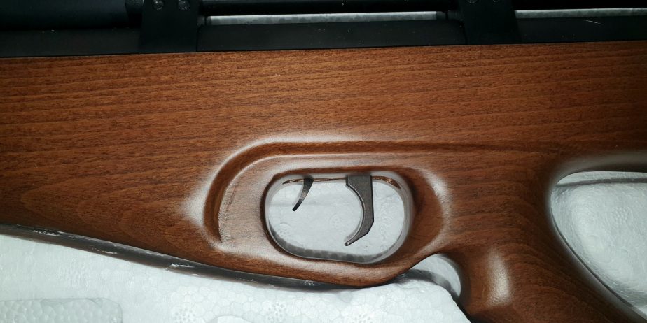 SMK P10 in .177 Cal NEW IN BOX