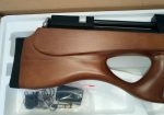 SMK P10 in .177 Cal NEW IN BOX