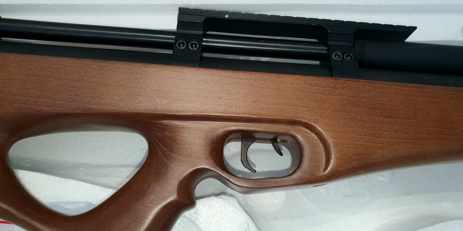 SMK P10 in .177 Cal NEW IN BOX